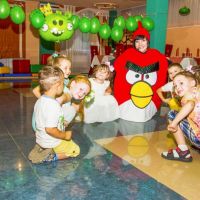 Angry-Birds-5